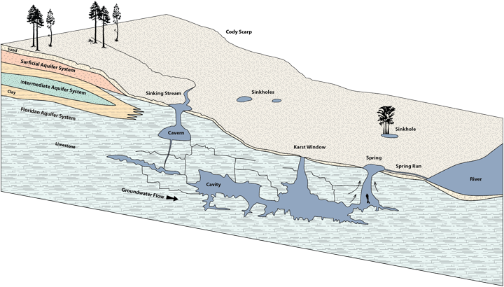 Cross Section Showing the Anatomy of a Spring