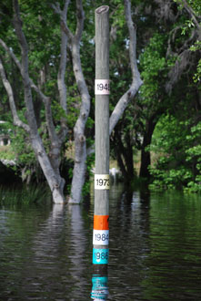 Flood Totem
