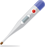 Electronic Thermometer