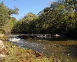 Steinhatchee River