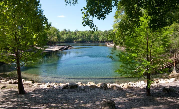 Little River Springs