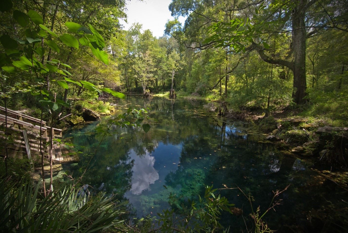 Peacock Springs First Magnitude