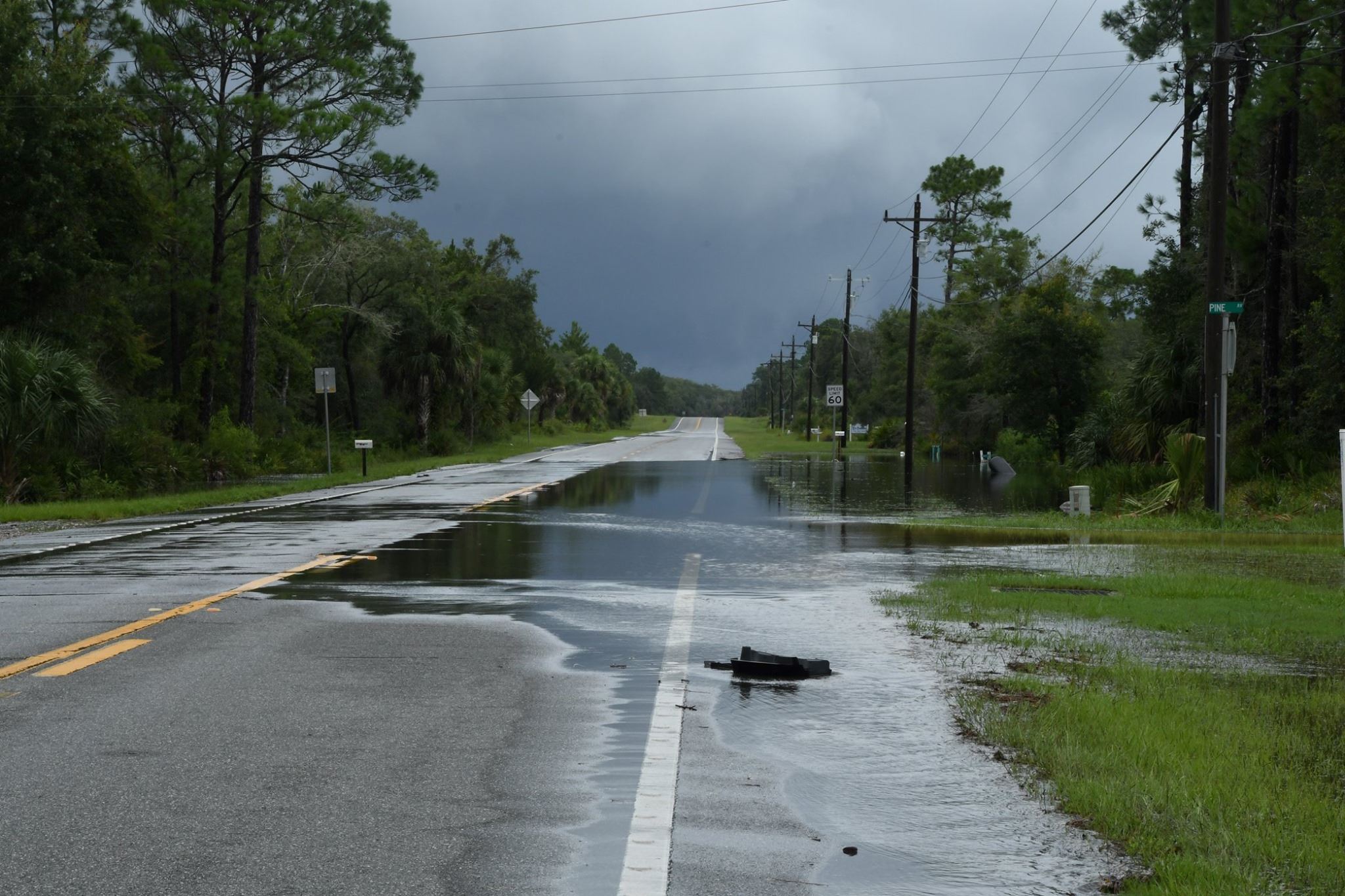 Paved road partly under water on SR 51 entering into Steinhatchee.