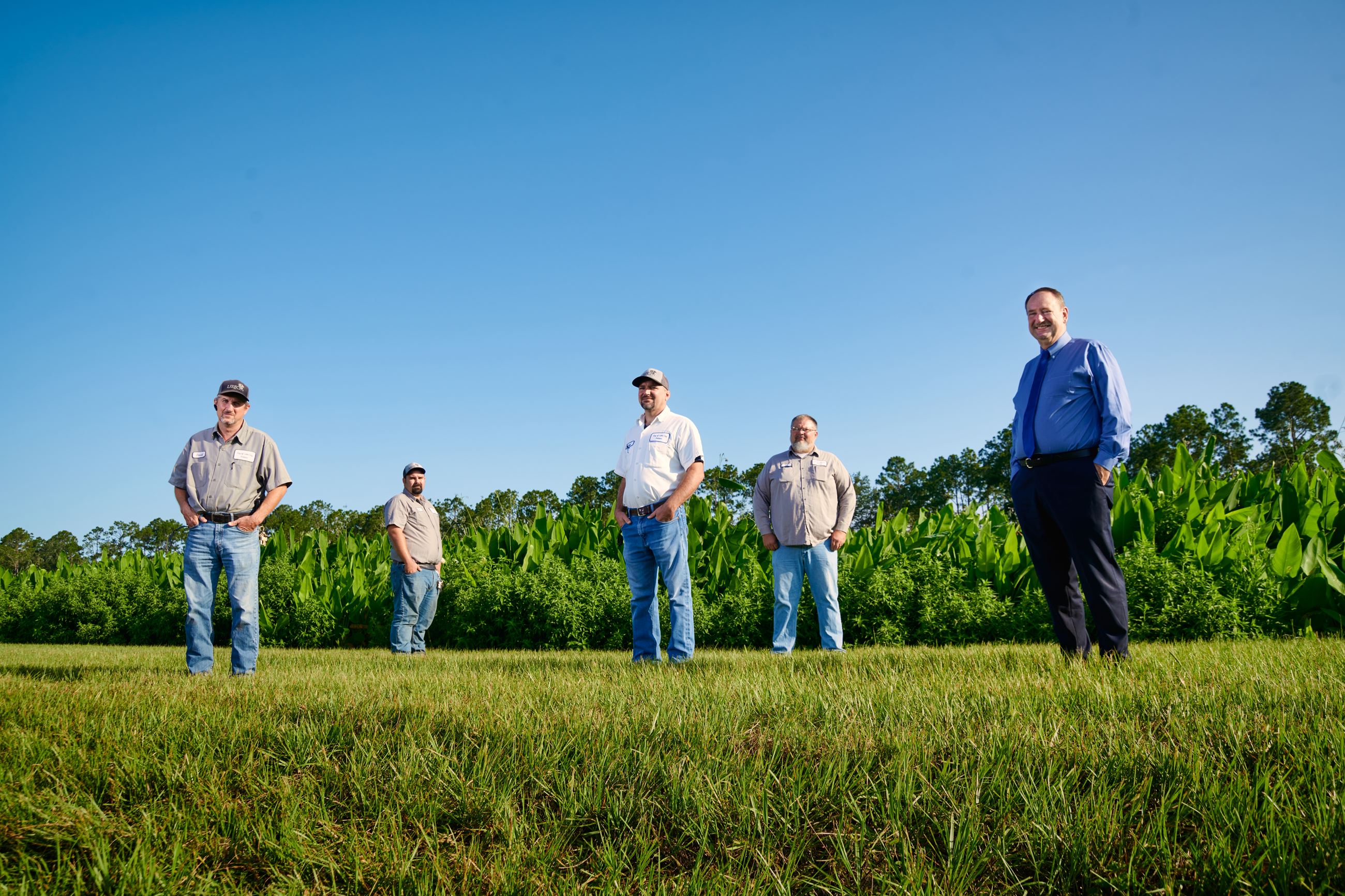 Five men standing intermittently within a wetland 