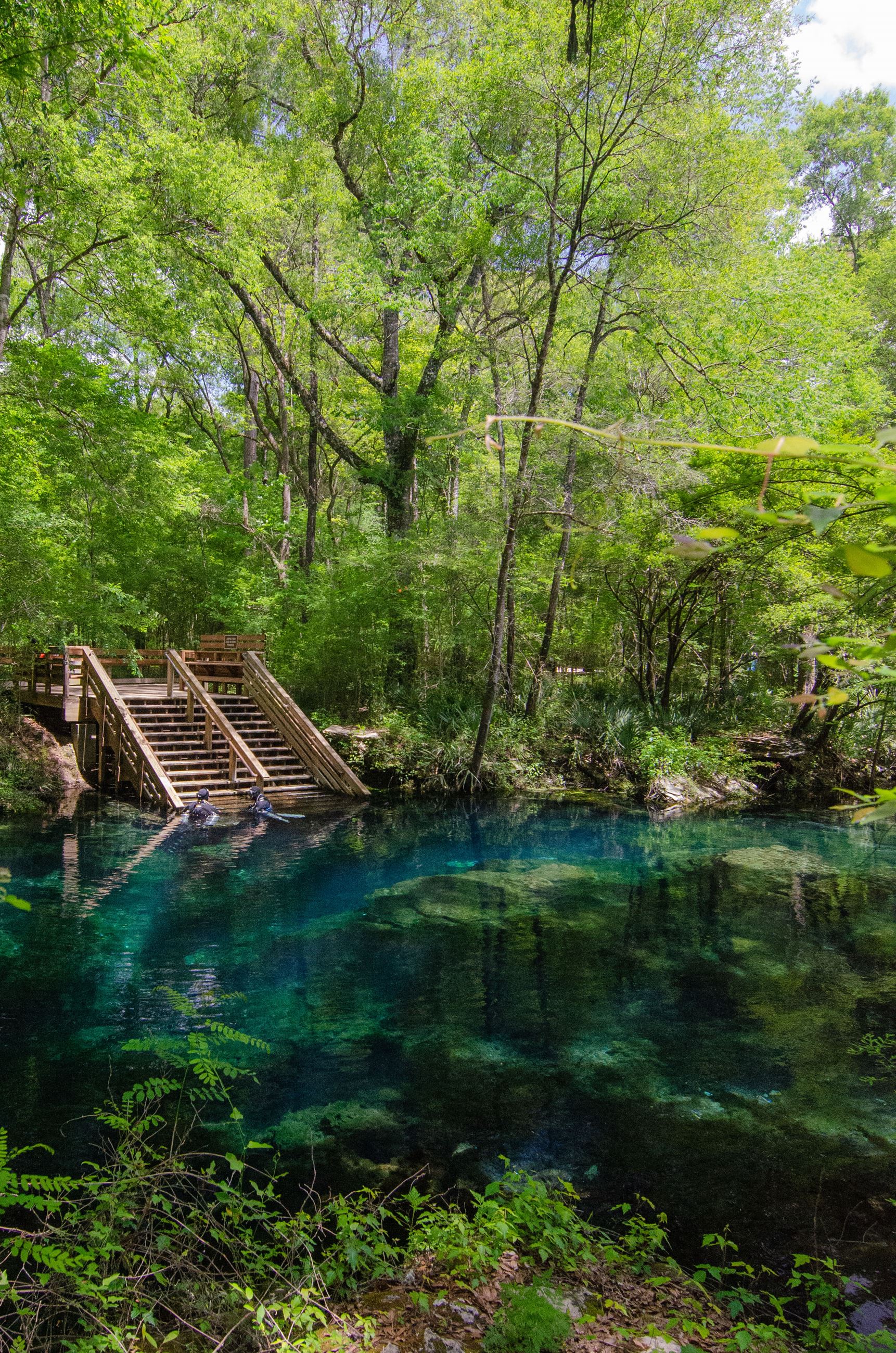 A photo of Peacock Springs, but vertical